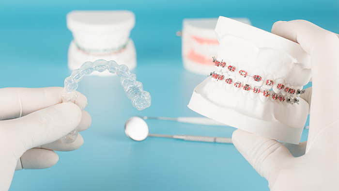 Dental Tool With Model In Dental Care Concept.